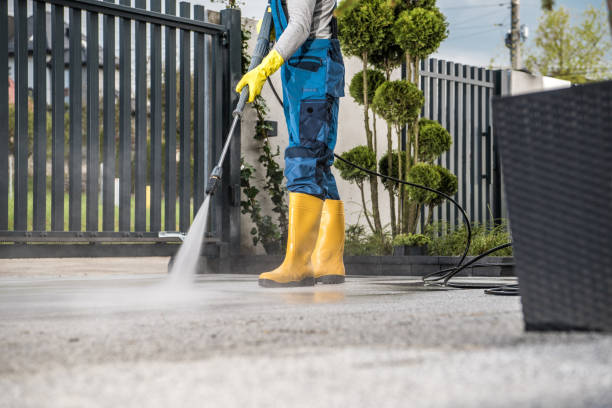 Local Pressure Washing Services in Lake Alfred, FL