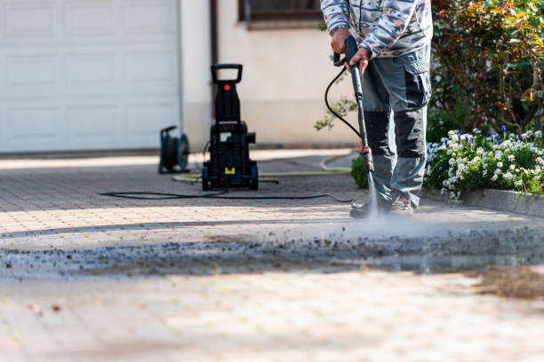 Best Local Pressure Washing Services  in Lake Alfred, FL