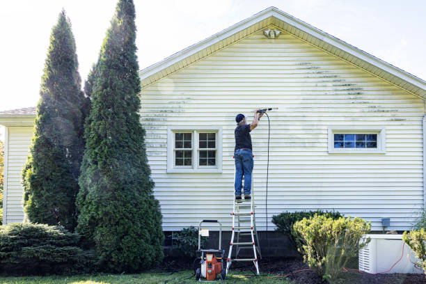 Best Fence Pressure Washing  in Lake Alfred, FL