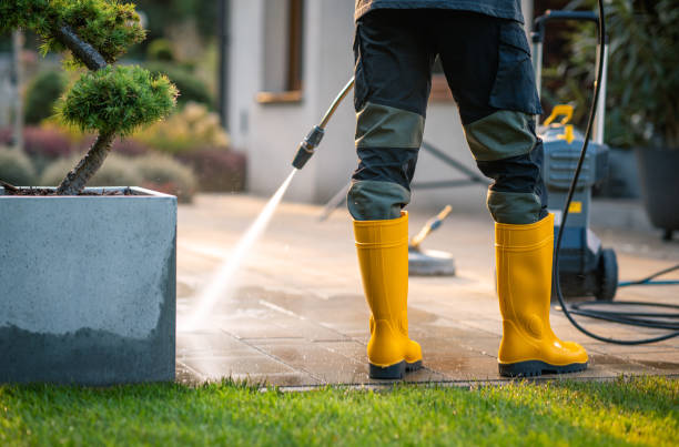 Best Roof Pressure Washing  in Lake Alfred, FL